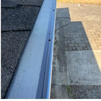 Close-up of gutter guard mesh installed along the roofline