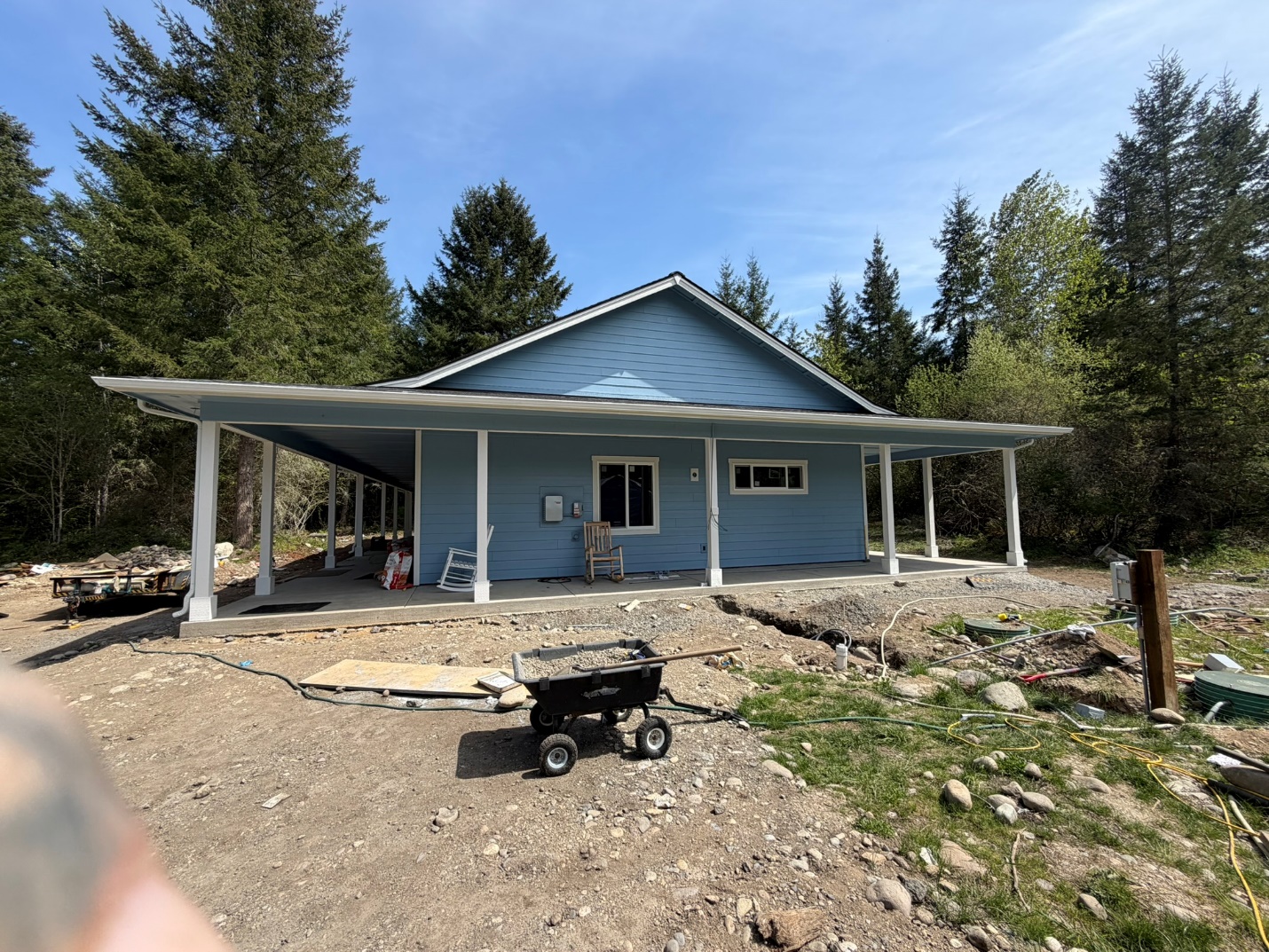 Home surrounded by mature fir trees, a common candidate for gutter guards