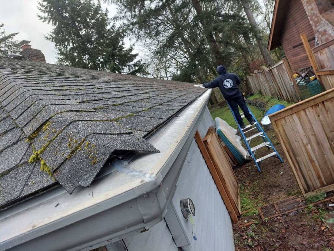 Aaron on a ladder clearing moss and debris from a roofline during a gutter repair visit